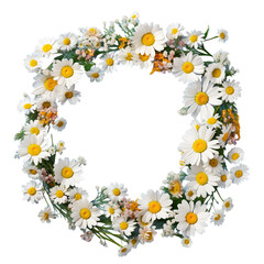 Arrangement with small daisies and flowers in spring frame.