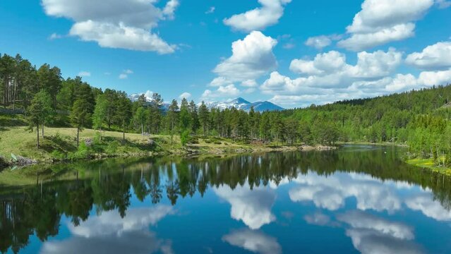Landscape scene of reflecting forest trees on the lake with blue cloudy sky, for wallpaper