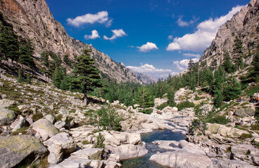 Restonica river flows at its source through mountain valley, Restonica high valley, Corte, Haute-Corse, Corsica, France.