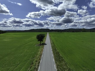 Rural road through a picturesque landscape, with lush green field on either side and a single tree