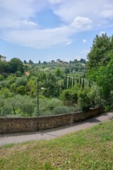 Fototapeta na wymiar Empty road surrounded by lush greenery. Florence, Tuscany, Italy.