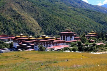Fototapeta na wymiar Cityscape of Thimphu surrounded by green mountains. Bhutan.
