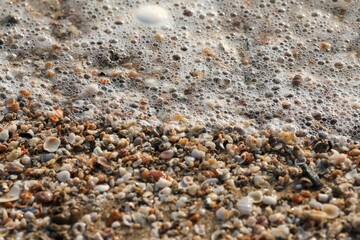 Sand and shells piled together on the beach sand covered with small waves