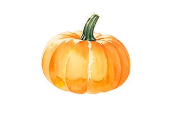 Obraz premium pumpkin isolated on white