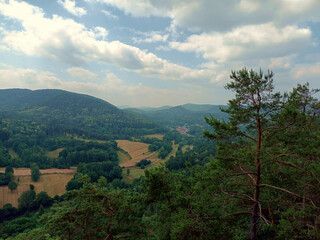 Fototapeta premium Aussicht in den Pfälzerwald vom Premium-Wanderweg Rimbach-Steig in der Urlaubsregion Hauenstein in Rheinland-Pfalz. 