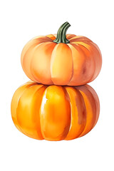 2 pumpkin isolated on white background