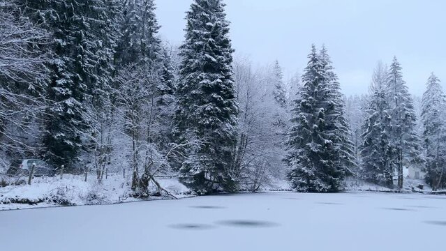 Scenic view of a frozen pond in a snowy forest in Winterberg, Germany
