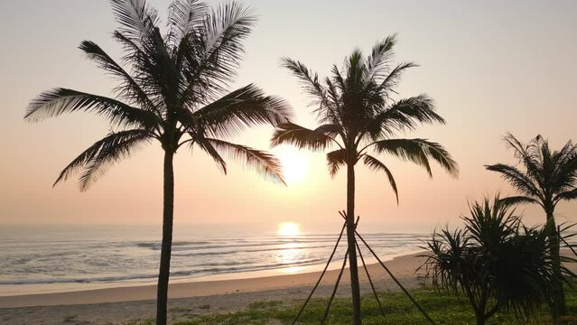 Aerial video of palm trees on the sea shore during scenic pink sunset