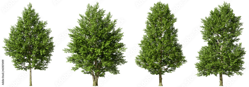 Poster greenery jungle trees collections on transparent backgrounds 3d render png file