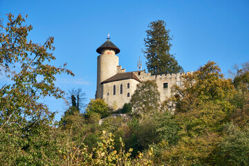 Fototapeta na wymiar Schloss Birseck in Arlesheim umrahmt von herbstlichem golden leuchtendem Laub