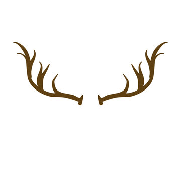 Deer Antlers Vector