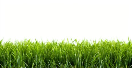 Obraz premium A lush green field against a clean white backdrop created with Generative AI technology