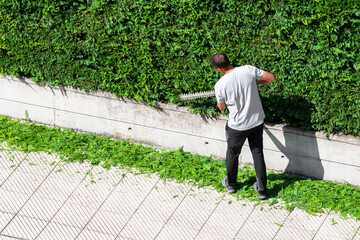Latin landscaper forms a green hedge with a trimmer. Copy space. Landscaping and pruning plants