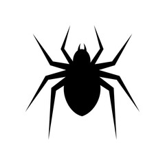 spider icon, spider web illustration