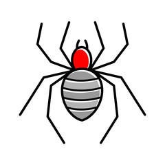 spider icon, spider web illustration