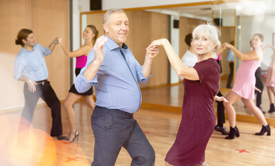 Spirited old pair training Latino dance during workout session. Pairs training ballroom dance in...