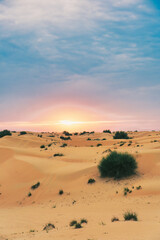 Sunset in the Dubai desert.