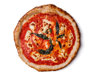 craft appetizing pizza with mozzarella on a white background, studio shot