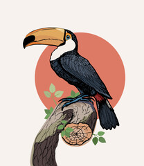 Tropical bird - Toucan. Summer vector illustration, hand drawn graphic poster.