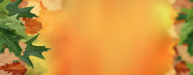 Warm autumn season minimal background with realistic leaves on orange and yellow colors blurred...