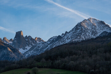 Peaks with snow on the top and a forest and grass on the base