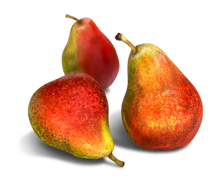 Ripe juicy pears on a transparent background. Illustration.
