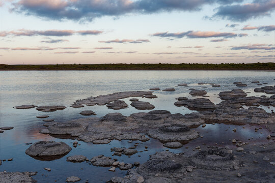 Lake Thetis - saline coastal lake in Western Australia near town Cervantes, on a Quaternary limestone pavement, living marine stromatolites, benthic microbial communities such algal mats