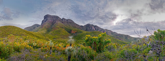 Stirling Range or Koikyennuruff landscape scenery, beautiful mountain National Park in Western Australia, with the highest peak Bluff Knoll. Panoramatic view to the rocky mountains