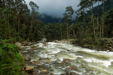 Ecuador - Papallacta Rio Quijos, powerfull river in South America, wild water stream from Ands to Amazonian lowland or plain, landscape from the rainforest - 631884478
