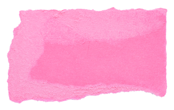 Single piece of isolated torn ripped crumpled blank pink paper with rough edges and blank copy space for text on white or transparent background, png design element
