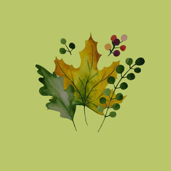 Maple leaves