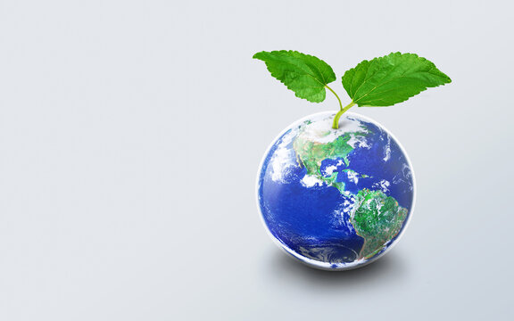 Small green tree grow up on top of the earth world on light background, Green save earth day concept, Elements of this image furnished by NASA
