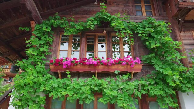 Swiss Chalet Window plants and flowers decoration, rustic farmhouse cabin in Europe