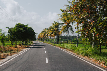 Fototapeta na wymiar Beautiful scenic road with palm trees