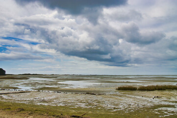 Mudflats at low tide at the coast of the Whanganui Inlet, Tasman area, in the northernmost part of South Island, New Zealand
