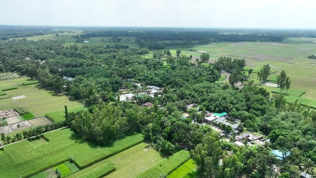 Aerial view of the village of the country, bogura, bangladesh. high quality 4k video footage