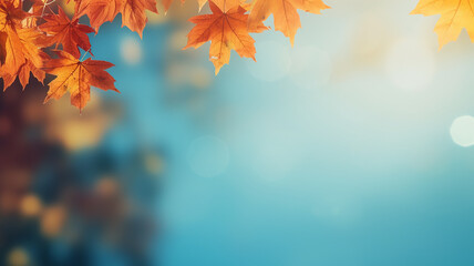 Naklejka na ściany i meble maple leaves on abstract blurred background with bokeh copy space, light bright autumn background for text