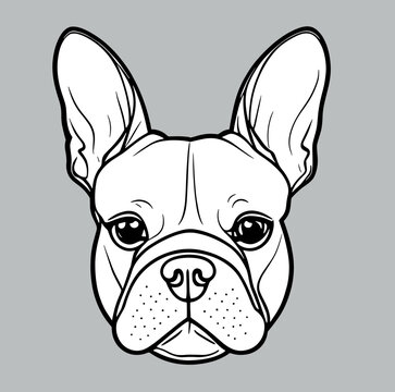 recommend clip art: Nice french bulldog logo. cute dog. Black and white vector illustration