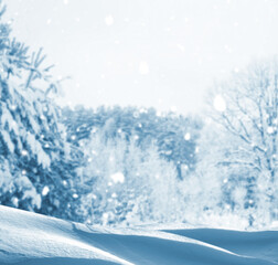 Fototapeta premium Landscape. Frozen winter forest with snow covered trees.