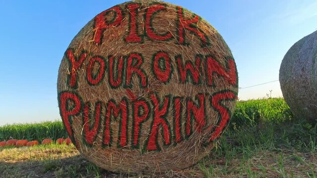 Pick your own pumpkin sign for holiday&rsquo;s harvest. Halloween and Thanksgiving day preparation. October Pumpkin Festival in Canada.