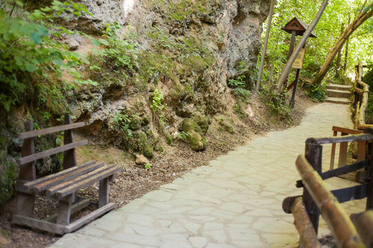 wooden bridge in the park