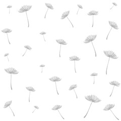 Dandelion Seamless Pattern, Pusteblume Löwenzahn Muster Druck Stoffdesign wiederholen Fliese Botanical clipart
