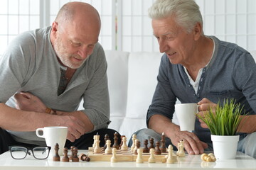 two old senior men playing chess at home