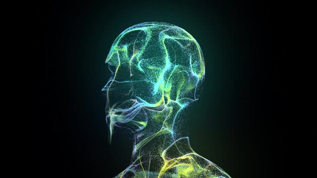 Particle Human
