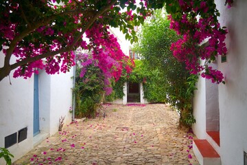 narrow street and house entry in the old mountain village of Castillo de Castellar in Andalusia...