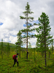 hiking in the mountains © Per