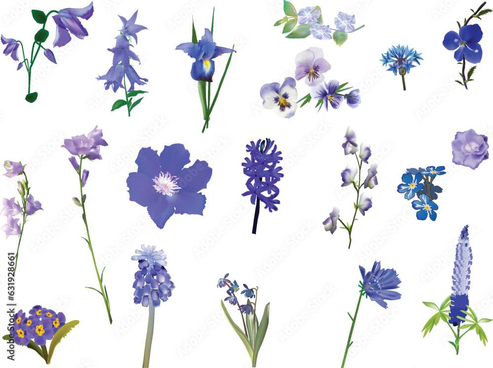 Canvas Prints set of lilac and blue flowers isolated on white