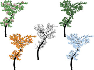 isolated five trees from four seasons