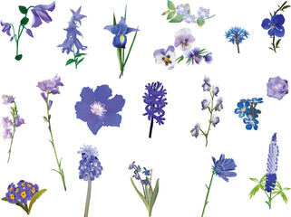 set of lilac and blue flowers isolated on white