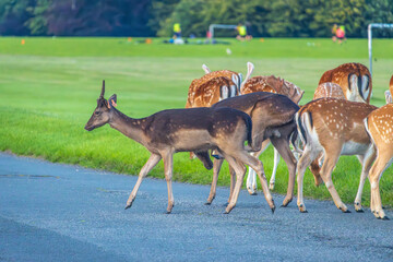 Dublin, Ireland - July 12 2023 - 